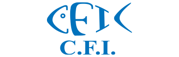 logo-CFI